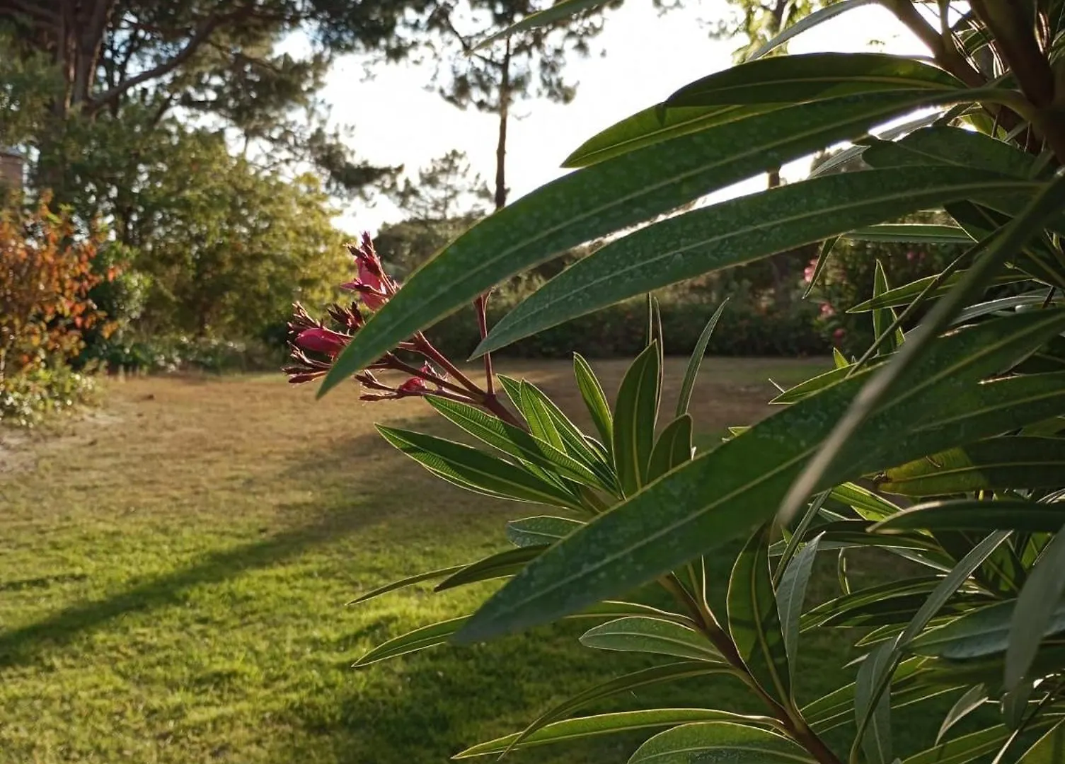 Holiday home Quinta Do Lago Villa And Golf