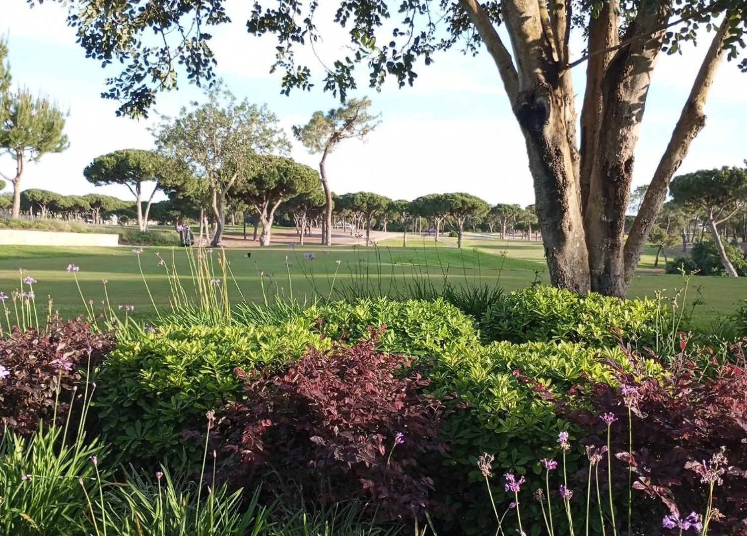 Quinta Do Lago Villa And Golf Holiday home Quinta do Lago